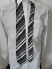 NEW Thomas Nash Men's Polyester Ties