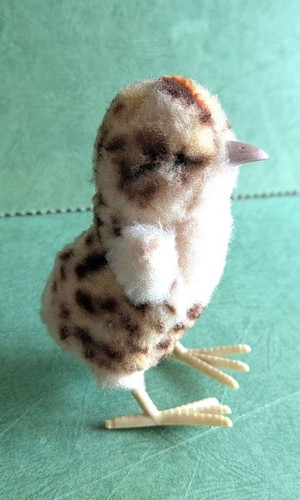 Vintage quail from the - vintage,