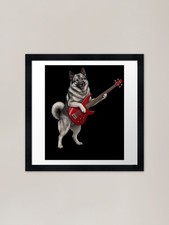 Norwegian Elkhound Playing