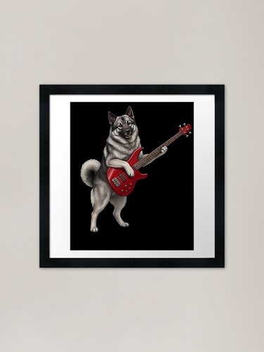 Norwegian elkhound playing - elkhound,