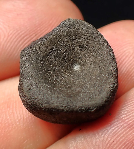 Jurassic ichthyosaur bone