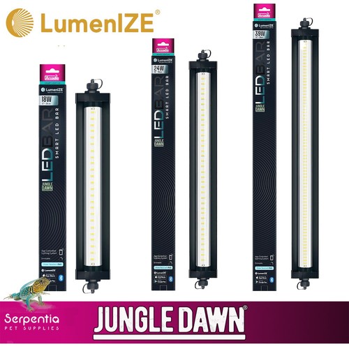 Arcadia jungle dawn lumenize - dawn,