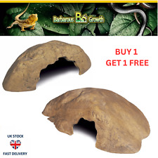 Reptile Vivarium Corner Rock