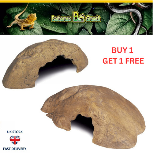 Reptile vivarium corner rock - reptile,