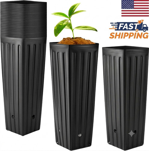 100pcs tall nursery - 100pcs,