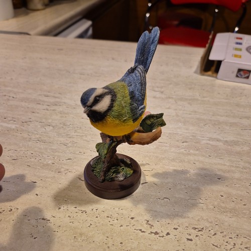 Border fine arts studio birds - arts,