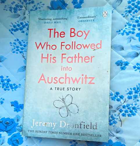The boy who followed his - the,