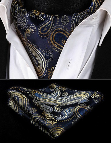 Men ascot paisley navy - ascot, gold