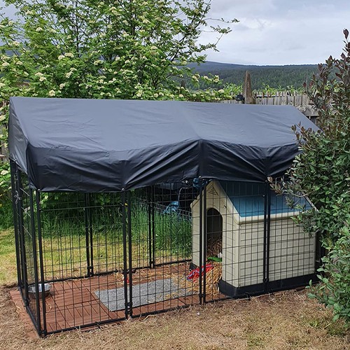Heavy duty large dog kennel - duty,