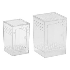 Acrylic Spider Enclosure
