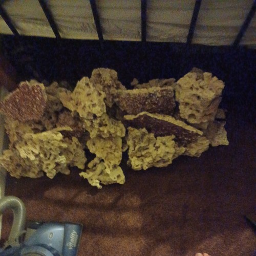 Marine coral appx 4stone - marine,