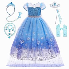 Girls Elsa Fancy Dress Costume