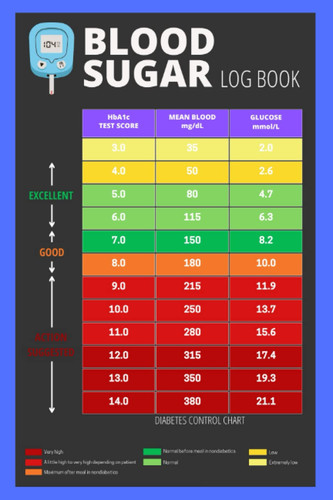 Blood sugar log - book:, 2-year
