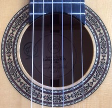 Antonio Bernal Flamenco Guitar