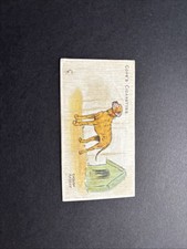 COPE - DOGS OF THE WORLD - #2THE  ENGLISH MASTIFF -AL23/2