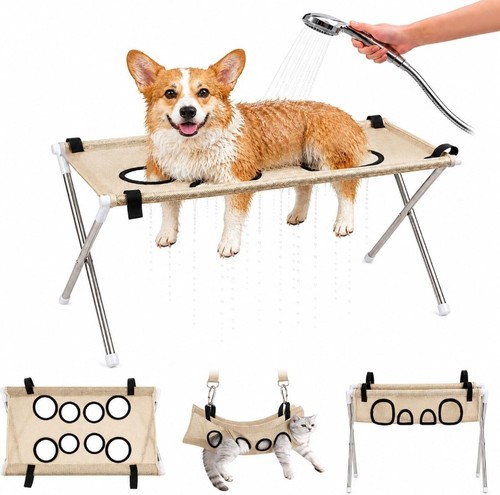 2026 dog grooming - 2026,