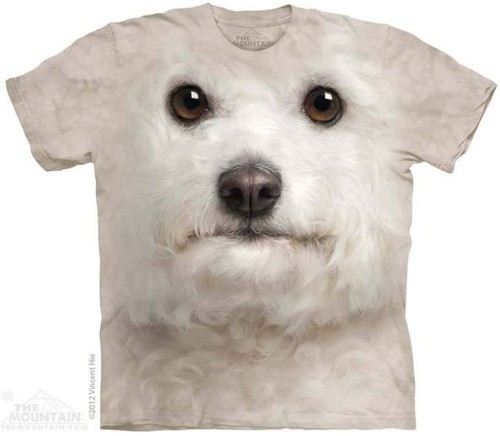 The mountain bichon frise - the,