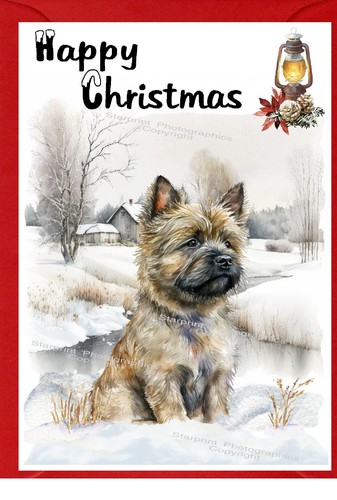 Cairn terrier dog - terrier, 6")