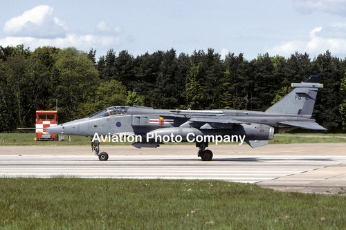 Raf squadron sepecat - 41, jaguar