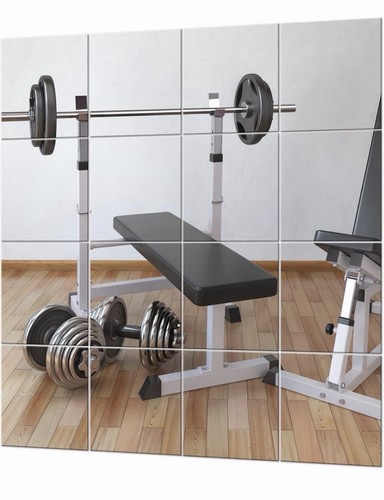 Evenlive gym mirrors for - gym,