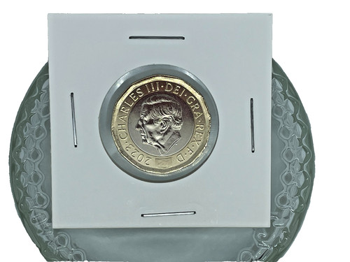 2023 pound bee coin - pound,