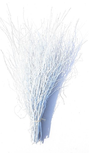 Birch/Twigs/Branches/Decorativ