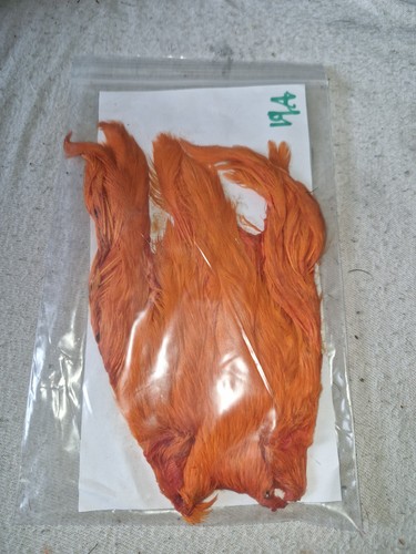 Hen cape fly tying - hen,