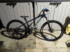 Specialised Mountain Bike