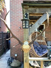 Stag Antlers On Wooden Shield