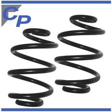 2 Rear Suspension Springs for