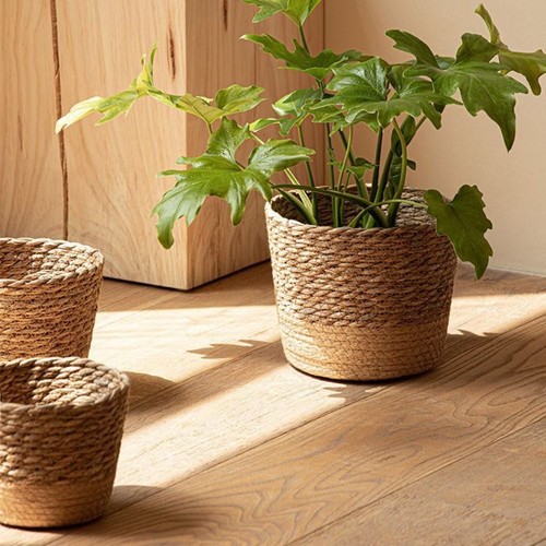 Handmade flower plant pot - flower,