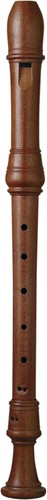 Zen pg3 wooden alto - pg3-a/a,