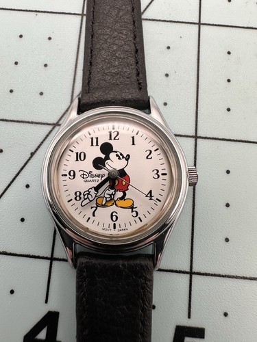 Walt disney parks time - disney,