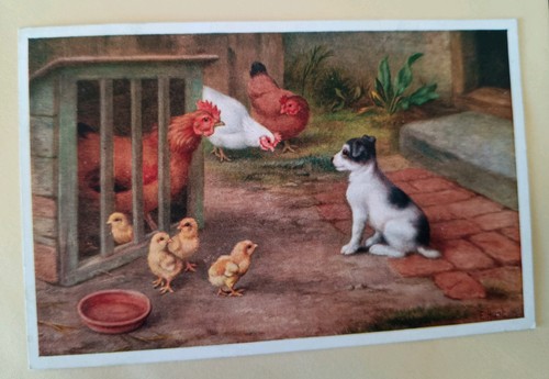 Edgar hunt postcard terrier - hunt,