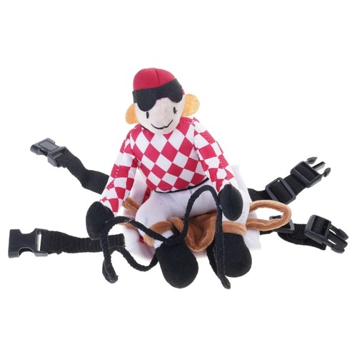 Dog equestrian riding animal - dog,