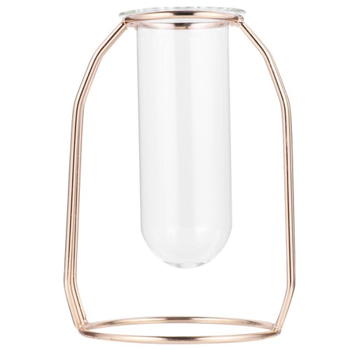 Glass tube vase - tube, hydroponics