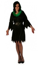 Ladies Witch Costume & Fur