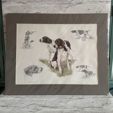 Nigel Hemming signed German short haired Pointer Print Mounted Pencil Drawing