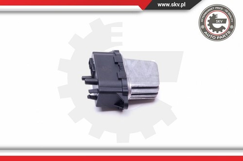 Esen skv 94skv100 resistor - esen,