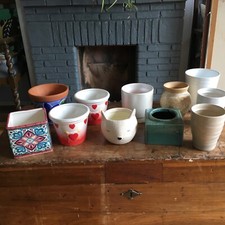 11 x bundle planters plant