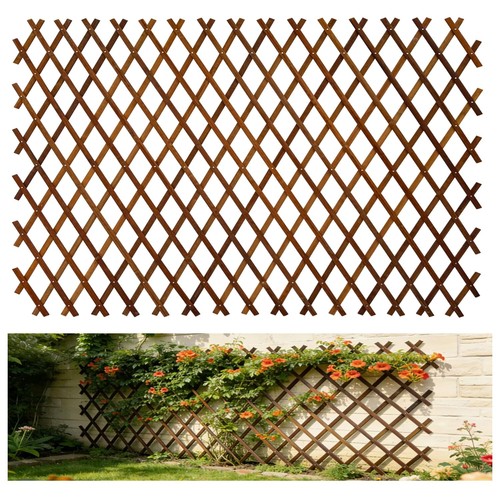 Expandable trellis for - trellis,