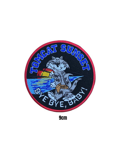 F14 grumman tomcat fighters - tomcat, us