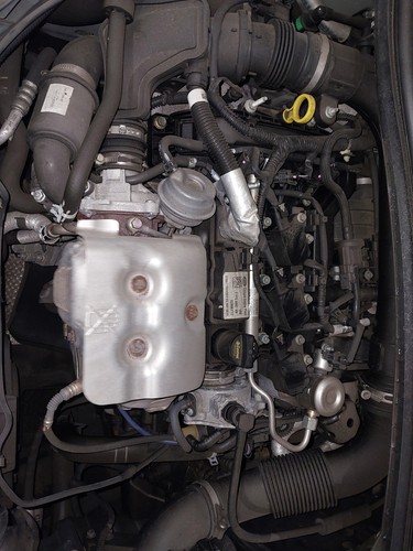 Engine ford max - c-max, fl