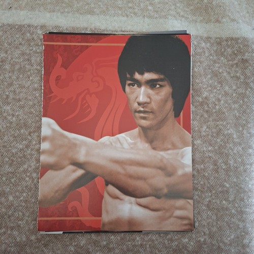 Bruce lee chasing the dragon - bruce,