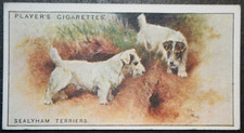 SEALYHAM TERRIER   Vintage