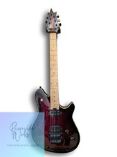 EVH wolfgang special FM