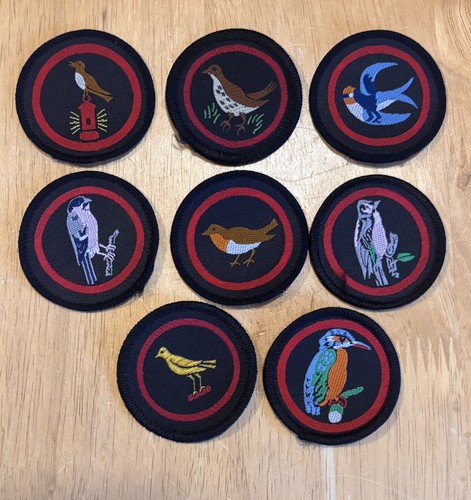 Set girl guides - 8,