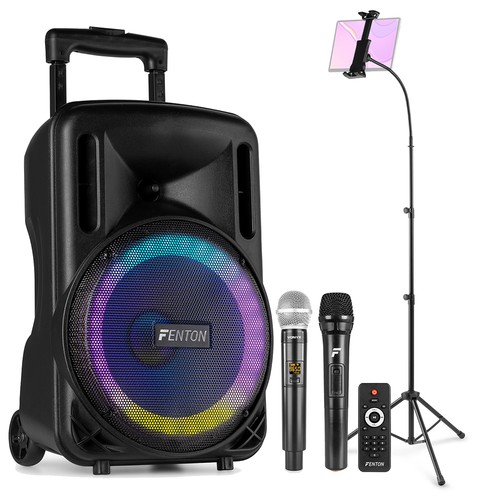 Karaoke machine with dual - 10",