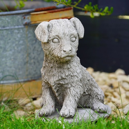 Jack russell stone - jack,