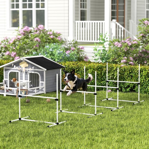 Pieces dog agility training - pieces,